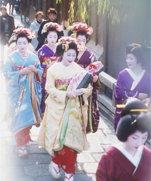 舞妓の四季 祇園商店街振興組合オフィシャルサイト